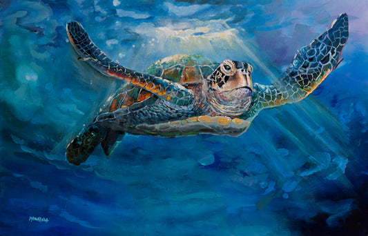 Ocean Jedi Turtle - Giclée on Canvas