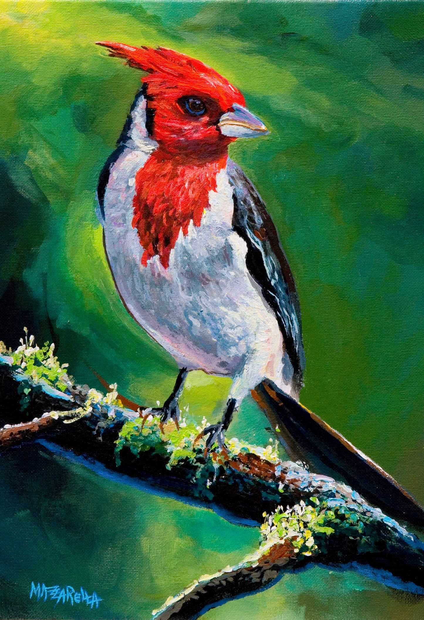 Red Crested Cardinal - Giclée on Metal