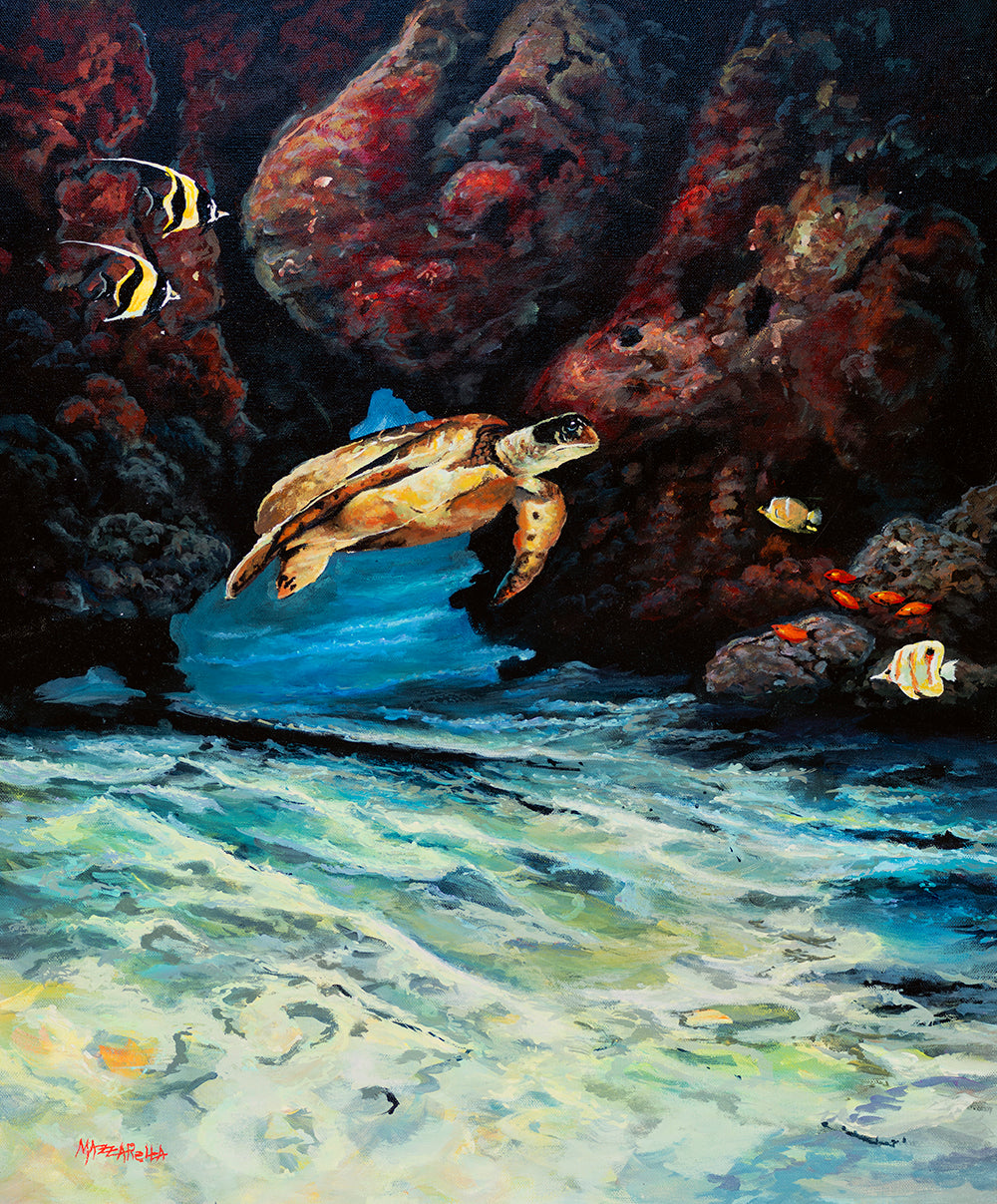 Honu Fronting Cave - Giclée on Paper